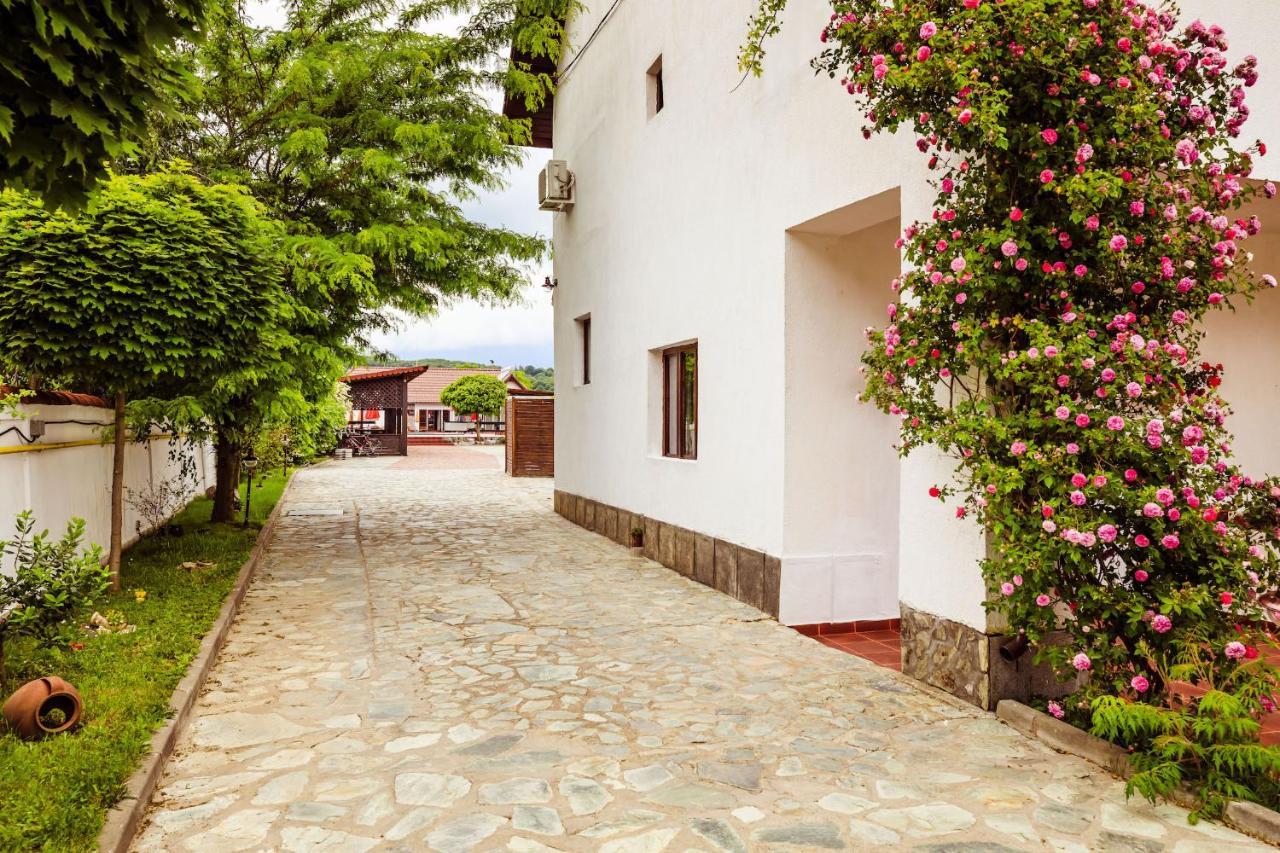 Pensiunea Iris Turcineşti Extérieur photo