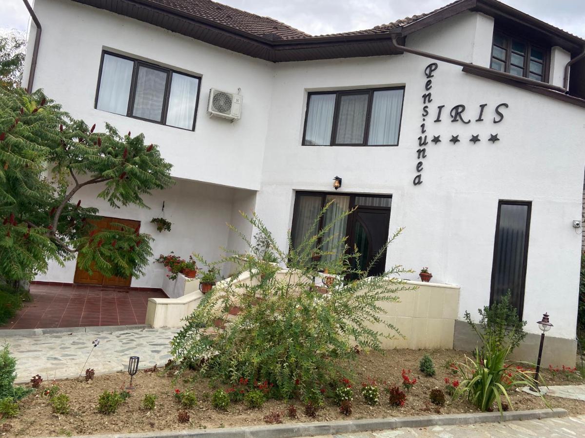 Pensiunea Iris Turcineşti Extérieur photo